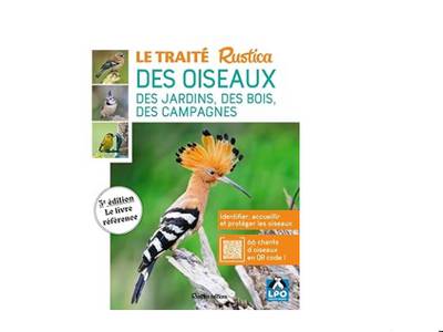 Guide d'identification oiseaux jardin