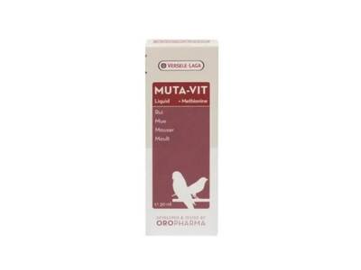 Complément vitamines pour oiseaux