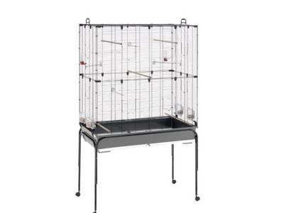 Volière d'intérieur pour perruches